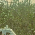 heli_jungle_e
