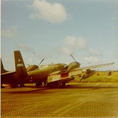 tom-02-03-craft-234x234
